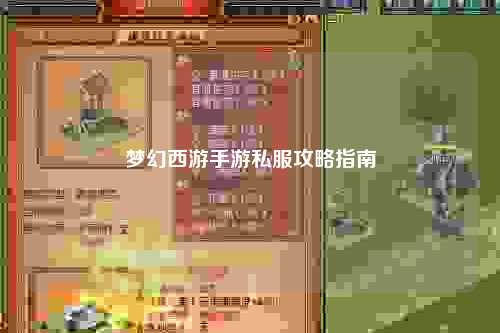 梦幻西游手游私服攻略指南